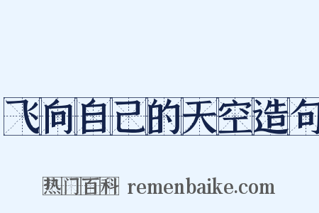 飞向自己的天空造句是什么意思的图片